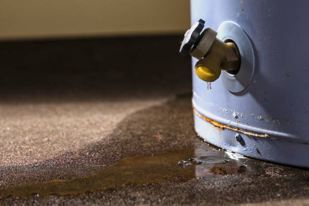 Best Flood damage cleanup  in Arkansas City, KS