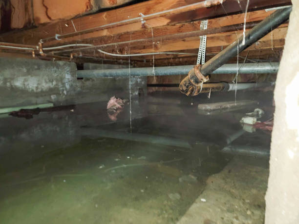 Professional Water damage restoration in KS