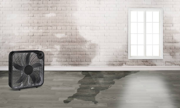 Best Fire Damage Restoration  in Arkansas City, KS