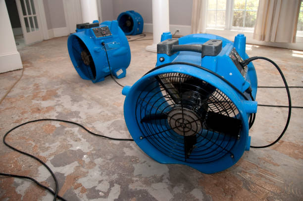 Best Water damage mitigation services  in Arkansas City, KS
