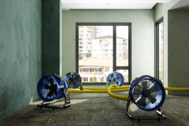 Best Flood restoration services  in Arkansas City, KS
