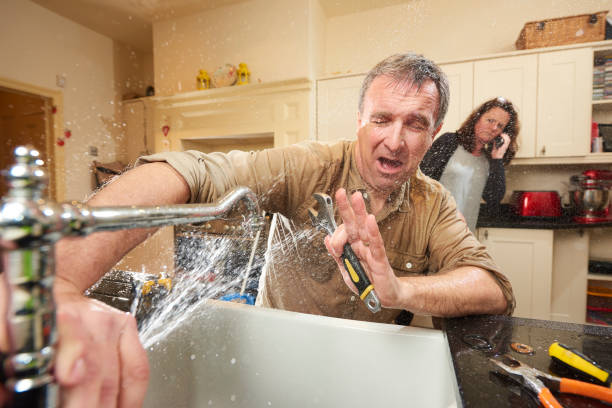 Best Mold removal after water damage  in Arkansas City, KS